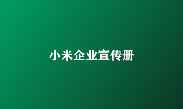小米企业宣传册