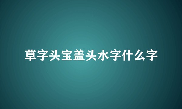 草字头宝盖头水字什么字