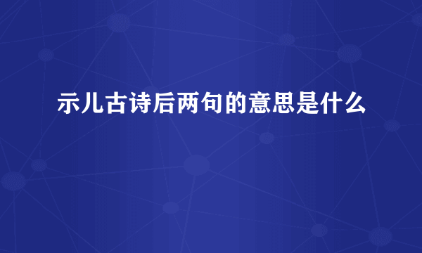 示儿古诗后两句的意思是什么