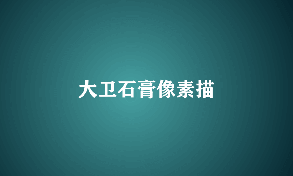 大卫石膏像素描