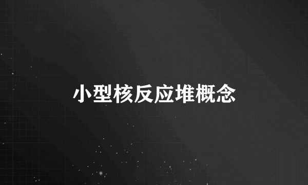 小型核反应堆概念