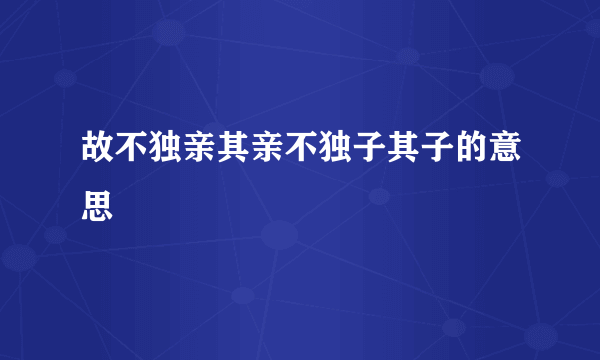 故不独亲其亲不独子其子的意思