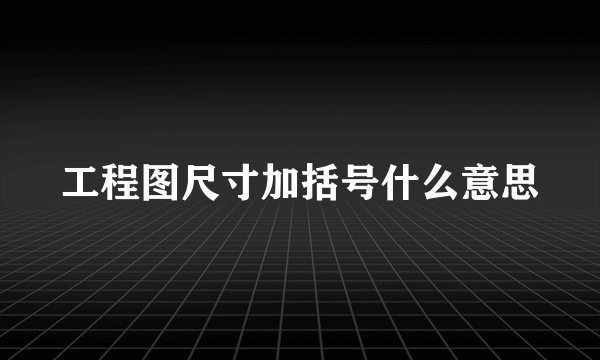 工程图尺寸加括号什么意思