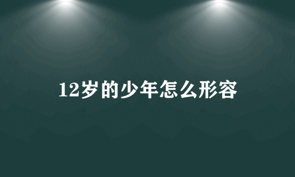 12岁的少年怎么形容