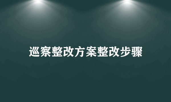 巡察整改方案整改步骤