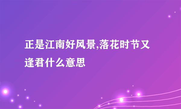 正是江南好风景,落花时节又逢君什么意思