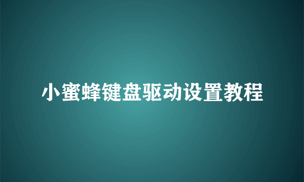 小蜜蜂键盘驱动设置教程