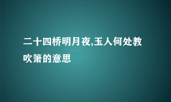 二十四桥明月夜,玉人何处教吹箫的意思