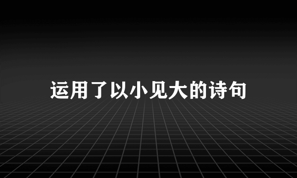 运用了以小见大的诗句