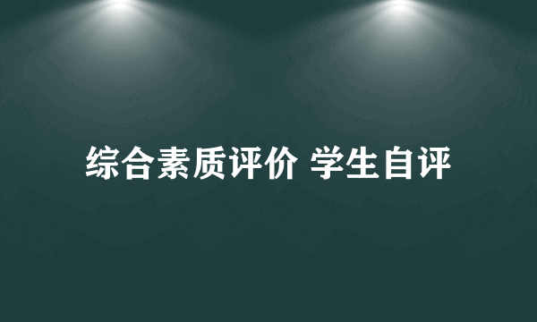 综合素质评价 学生自评