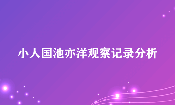 小人国池亦洋观察记录分析