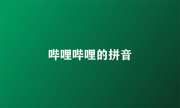 哔哩哔哩的拼音