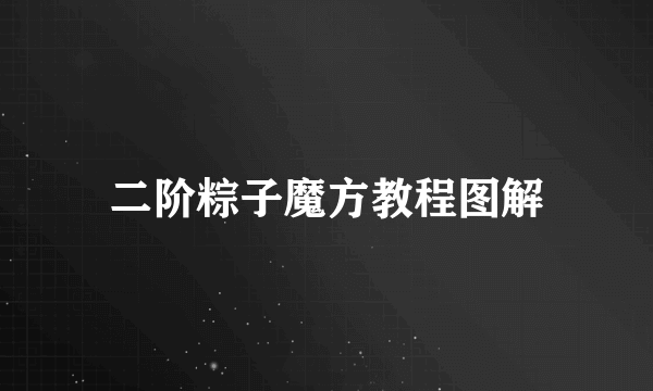 二阶粽子魔方教程图解