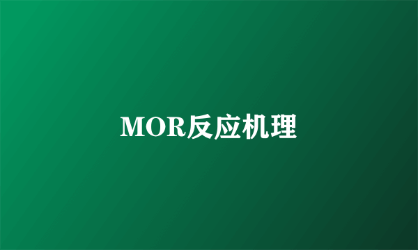 MOR反应机理