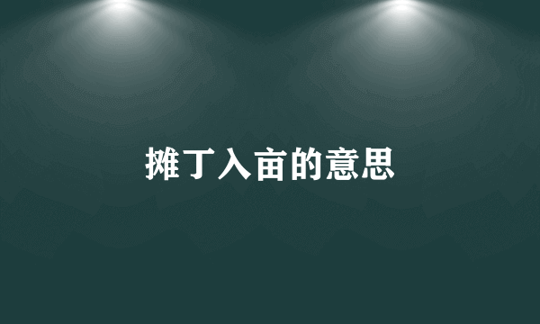 摊丁入亩的意思