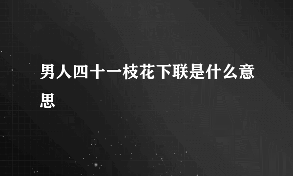 男人四十一枝花下联是什么意思