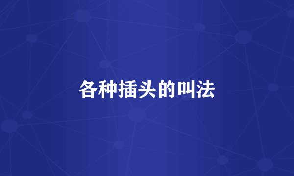 各种插头的叫法