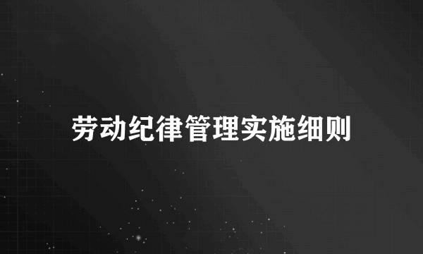 劳动纪律管理实施细则