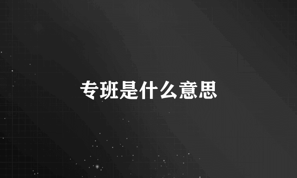 专班是什么意思