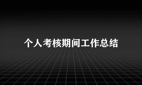 个人考核期间工作总结