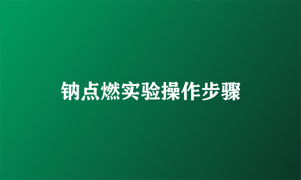 钠点燃实验操作步骤