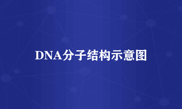 DNA分子结构示意图