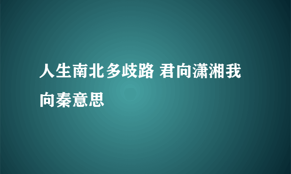 人生南北多歧路 君向潇湘我向秦意思