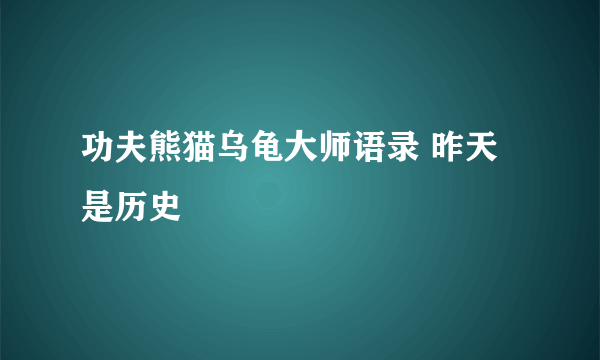 功夫熊猫乌龟大师语录 昨天是历史