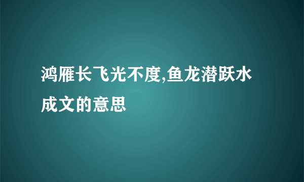 鸿雁长飞光不度,鱼龙潜跃水成文的意思