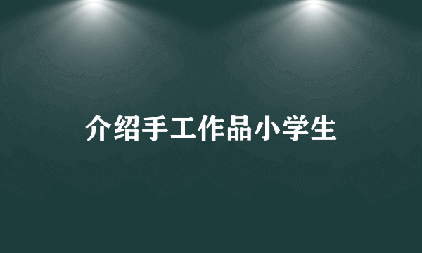介绍手工作品小学生