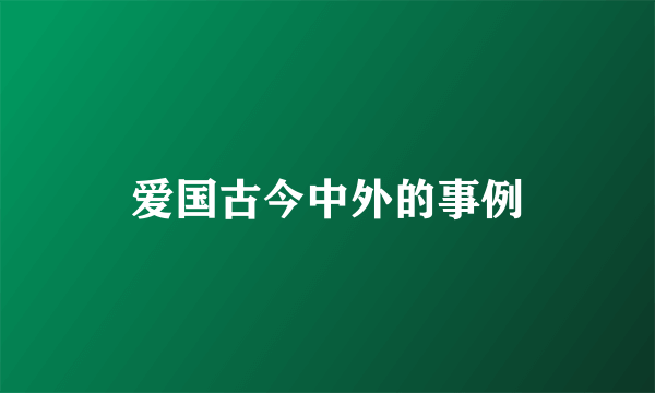 爱国古今中外的事例