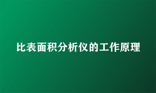 比表面积分析仪的工作原理