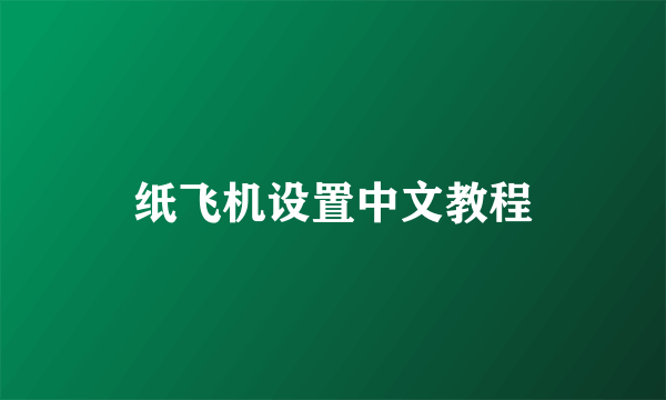 纸飞机设置中文教程