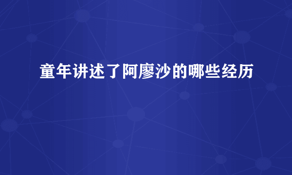 童年讲述了阿廖沙的哪些经历