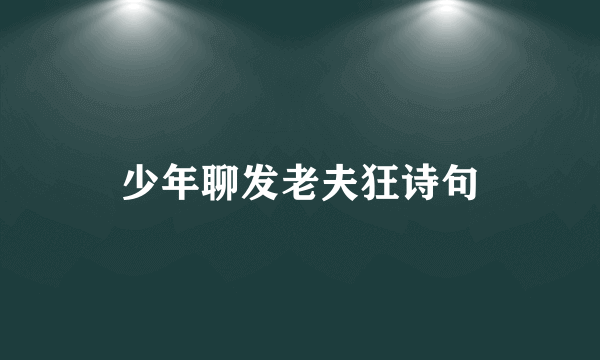少年聊发老夫狂诗句