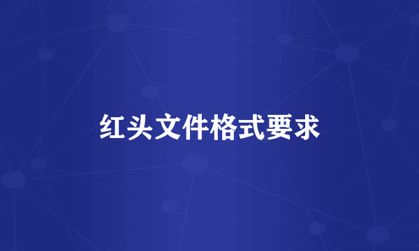 红头文件格式要求