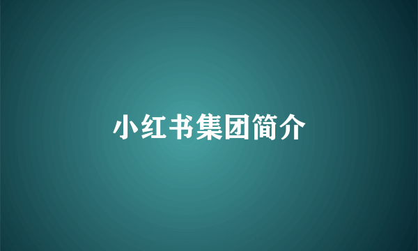 小红书集团简介