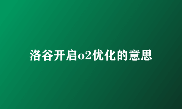 洛谷开启o2优化的意思