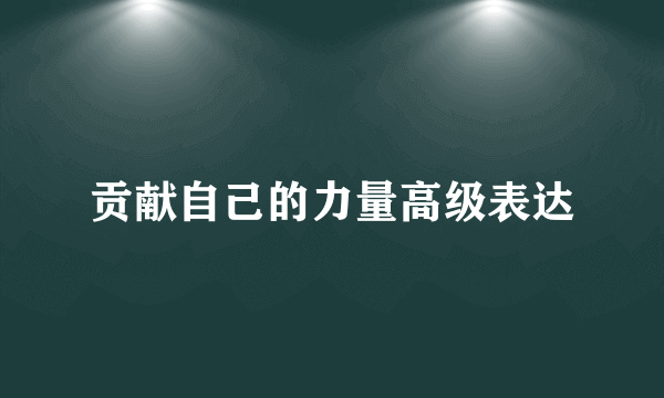 贡献自己的力量高级表达