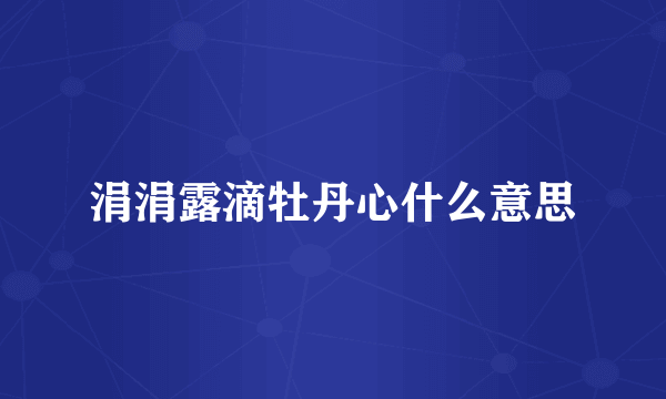 涓涓露滴牡丹心什么意思
