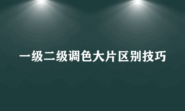 一级二级调色大片区别技巧