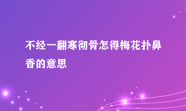 不经一翻寒彻骨怎得梅花扑鼻香的意思