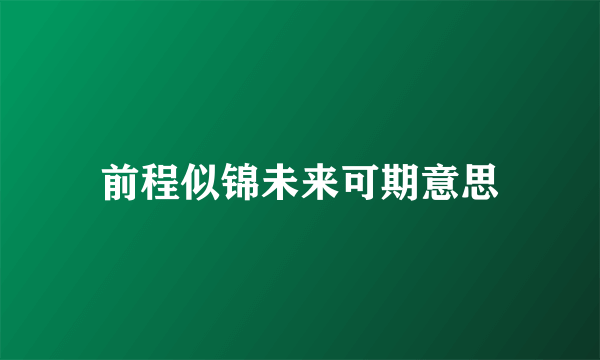 前程似锦未来可期意思