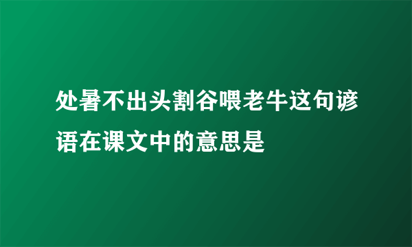 处暑不出头割谷喂老牛这句谚语在课文中的意思是