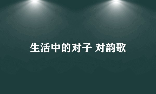 生活中的对子 对韵歌