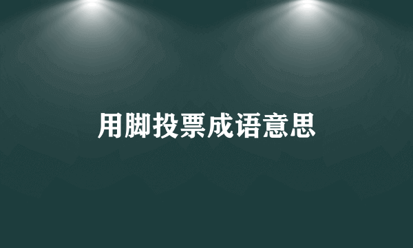 用脚投票成语意思