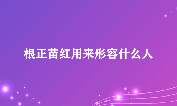根正苗红用来形容什么人