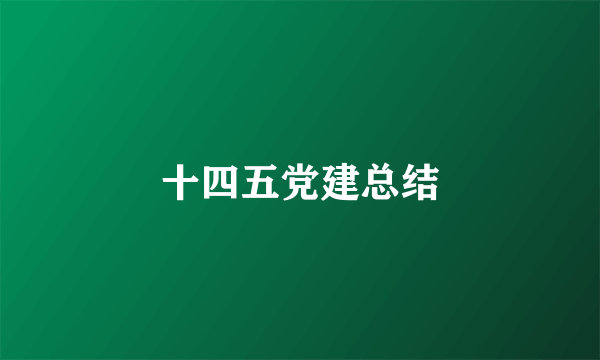 十四五党建总结