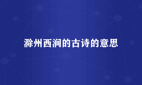 滁州西涧的古诗的意思