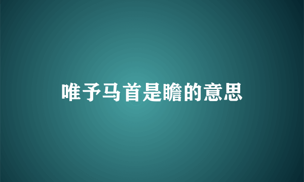 唯予马首是瞻的意思